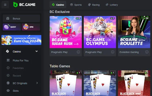 Screenshot of the BC.Game casino